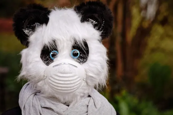 Thunderbolt Casino Ondersteuning